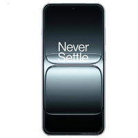 OnePlus 13T